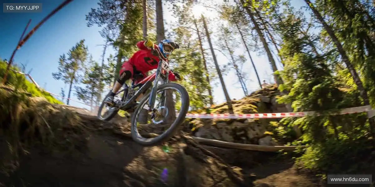 📱 随时随地,想看就看!体育直播平台,把赛场装进口袋!
